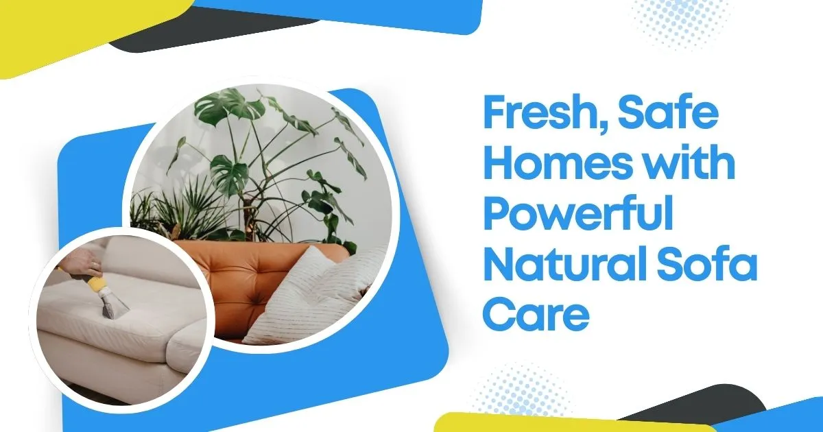 Natural Sofa Cleaning
