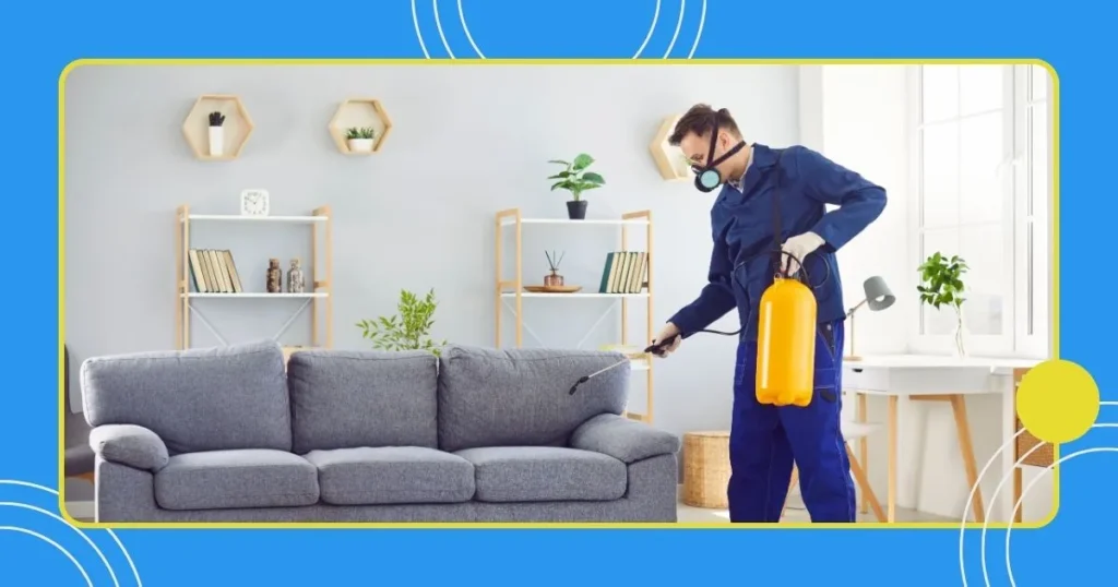 How to clean my sofa at home